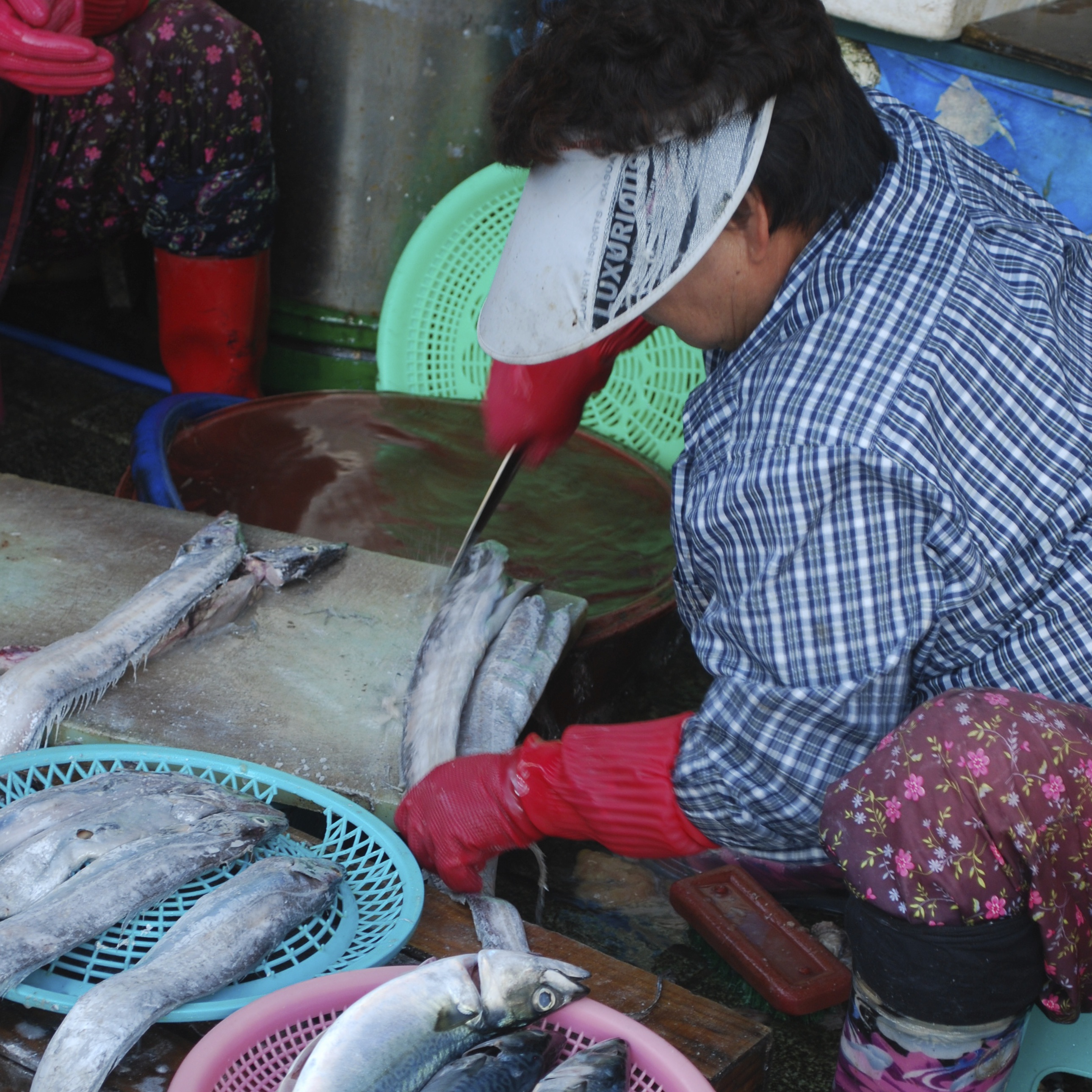 Jagalchi Fish Market