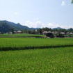 Andong Hahoe Folk Village