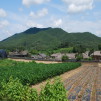 Andong Hahoe Folk Village